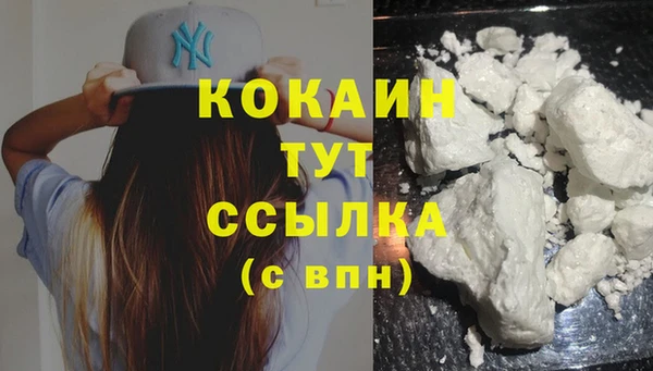 стаф Сафоново