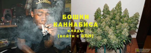 сатива Володарск