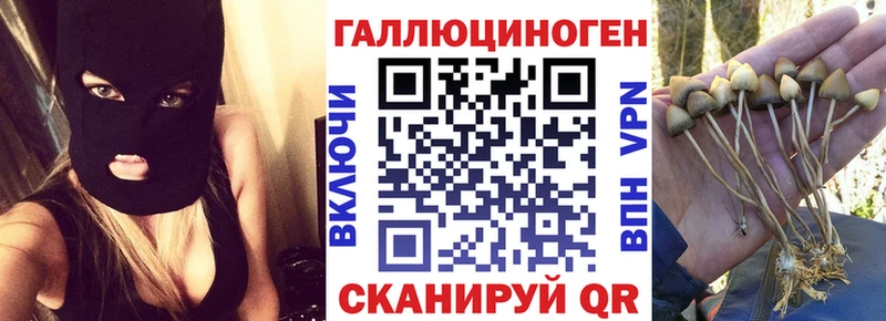 hydra как войти  Рубцовск  Псилоцибиновые грибы Psilocybe 